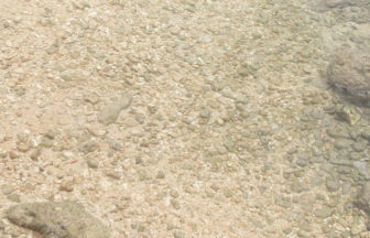 ゴロタ石は波打ち際などに多くあります。